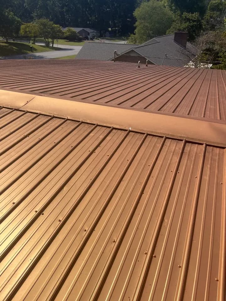 Sealing pipe boots, replacing screws, and replacing damaged decking on a metal roof in Powell