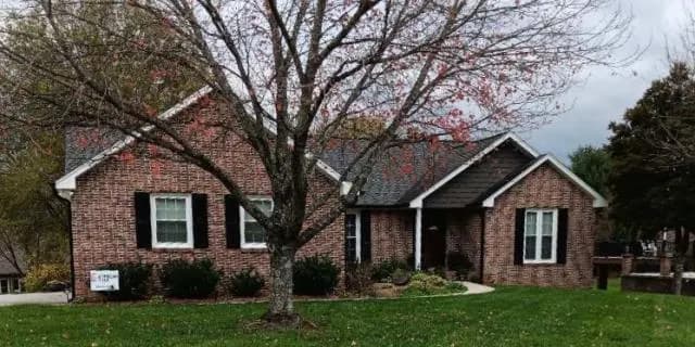 Brick ranch house behind a flowering tree, Powell