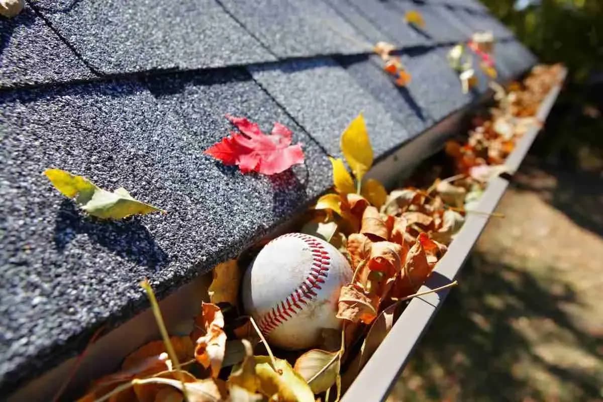 Gutter clogged with autumn leaves and a baseball along a shingle roof edge