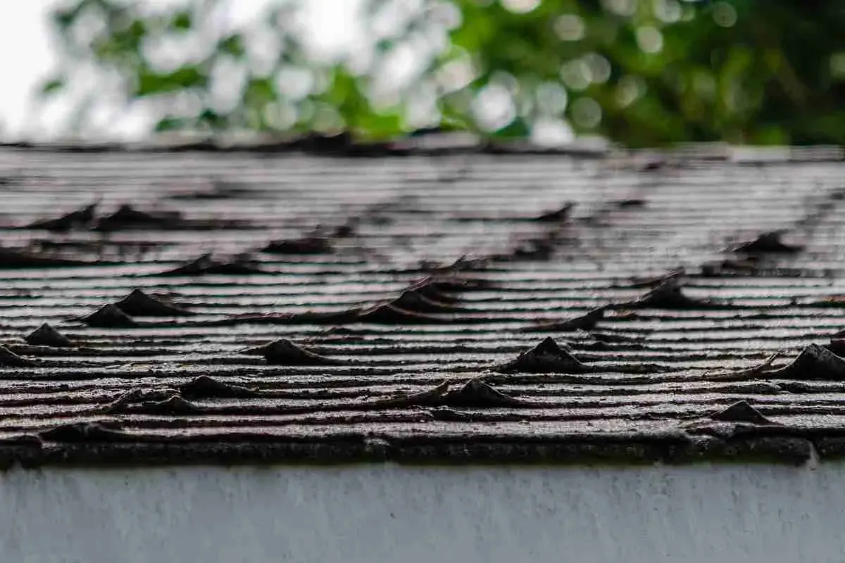 Close view of curled and worn wood shake shingles