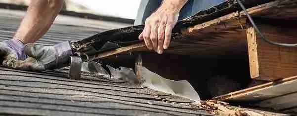 Hands pulling up rotted roof decking and shingles