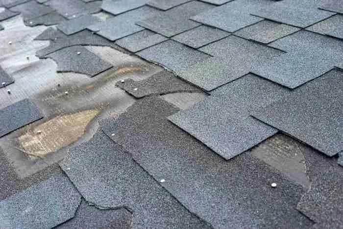 Worn gray asphalt shingles with granule loss and damage