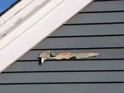 Damaged gray lap siding with a chipped section near white trim