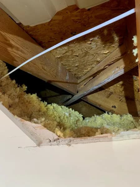 Interior attic view showing exposed roof decking, framing, and disturbed insulation