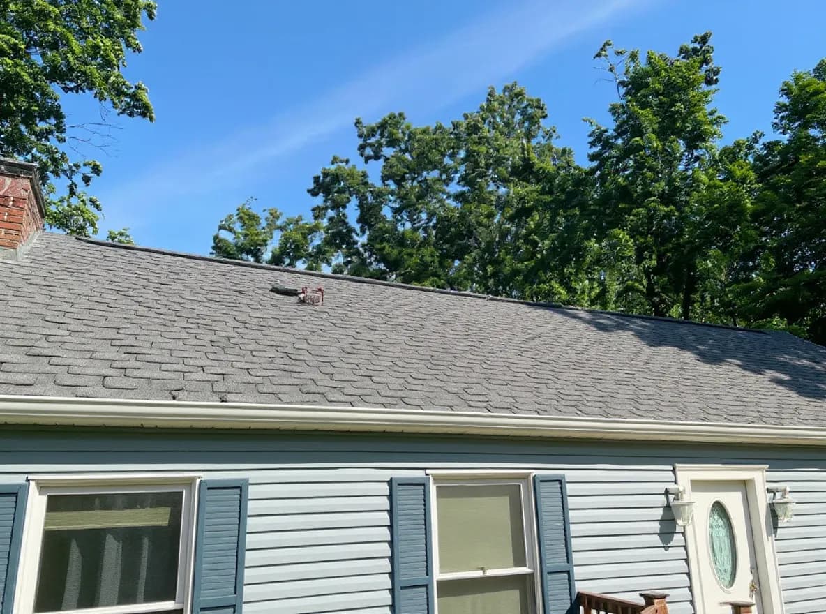 A light blue single-story ranch-style home with a gray asphalt shingle roof, surrounded by mature trees and greenery